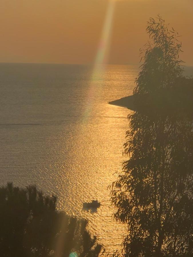 The Little House On The Hill Of Myrties Villa Екстериор снимка